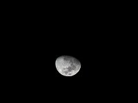 LU 2023-003