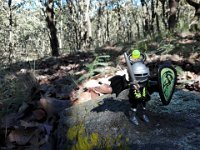 lu-2017-30 puntos vista-file09